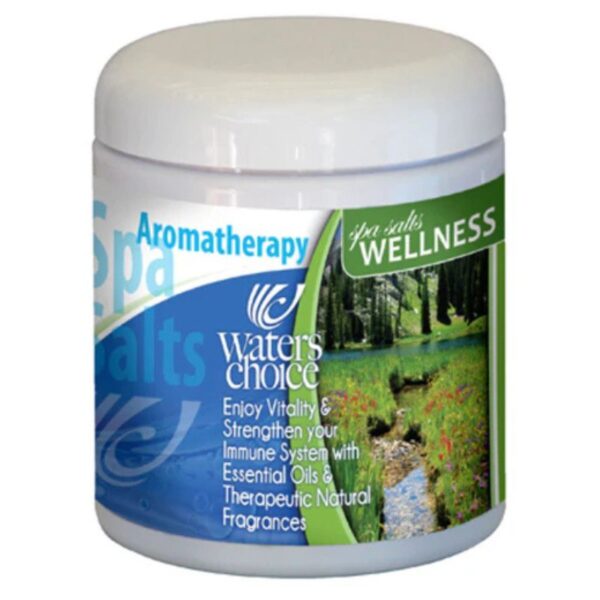 Waters Choice Aromatherapy Spa Salt - Wellness (570g)